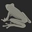 Red Eyed Tree Frog Pose 4