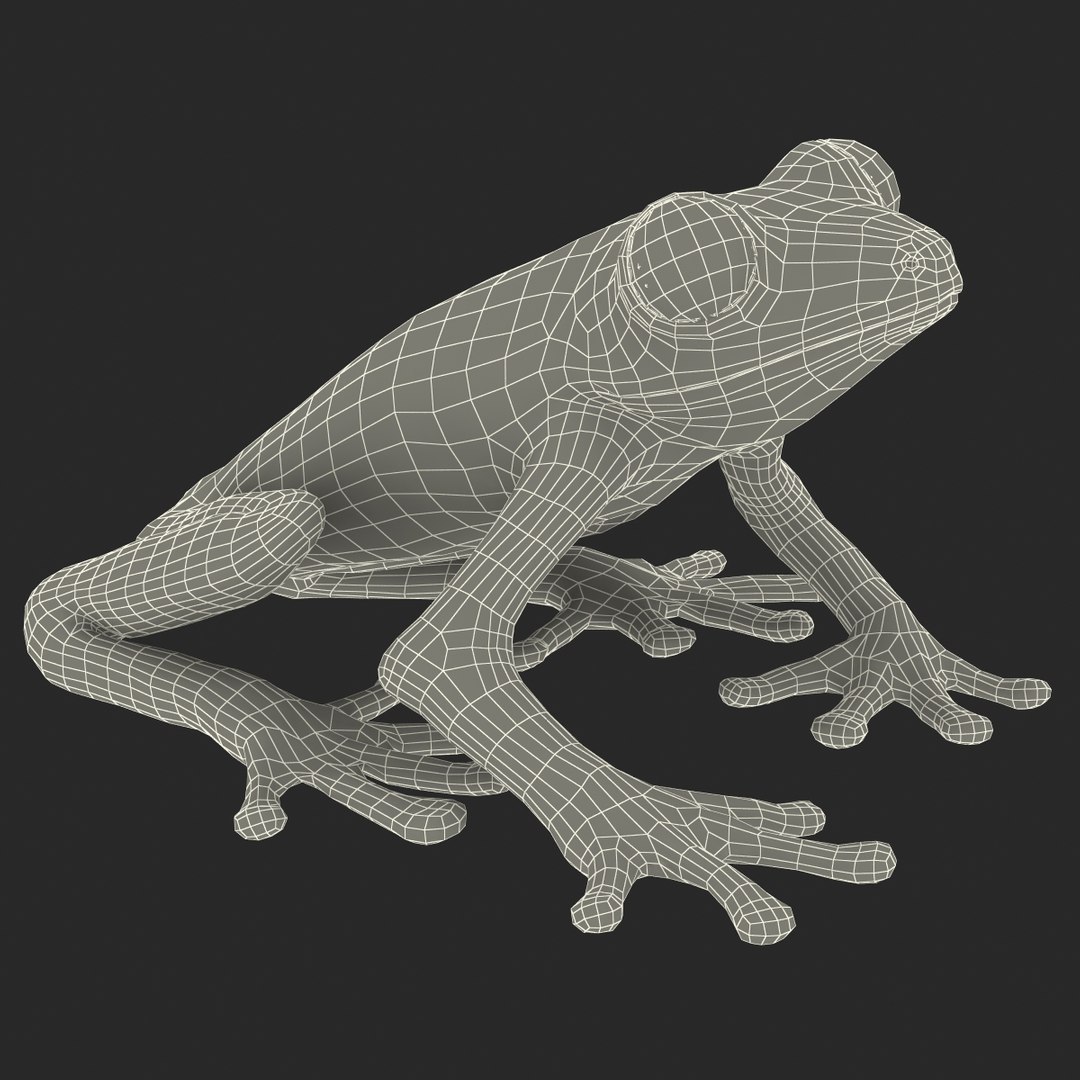 3d red eyed tree frog model https://p.turbosquid.com/ts-thumb/pp/yMUvrC/arozgP68/redeyedtreefrog3dmodel22/jpg/1451380751/1920x1080/fit_q87/f8aa13d41fb1585d8080a06e76594517cc4f96be/redeyedtreefrog3dmodel22.jpg