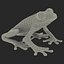 Red Eyed Tree Frog Pose 4