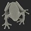 Red Eyed Tree Frog Pose 4