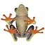 Red Eyed Tree Frog Pose 4