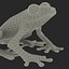 Red Eyed Tree Frog Pose 4