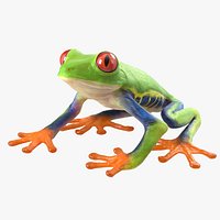 Red Eyed Tree Frog Pose 4