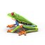 Red Eyed Tree Frog Pose 4