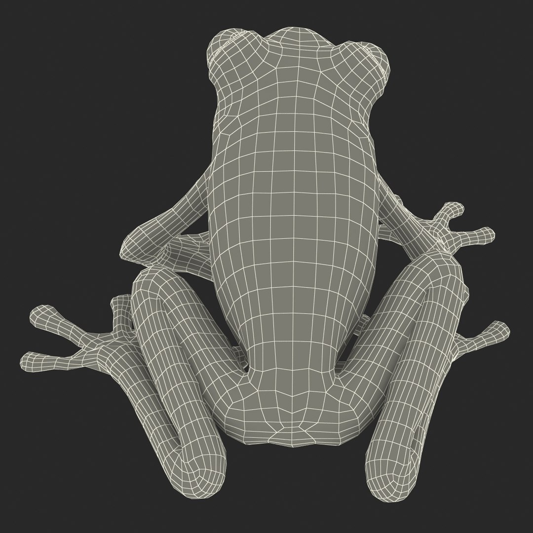 3d red eyed tree frog model https://p.turbosquid.com/ts-thumb/pp/yMUvrC/x3UgkpLn/redeyedtreefrog3dmodel26/jpg/1451380752/1920x1080/fit_q87/65b4b69bb04fd515e2c221764787fd31c2dc4376/redeyedtreefrog3dmodel26.jpg
