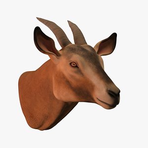 Goat Head