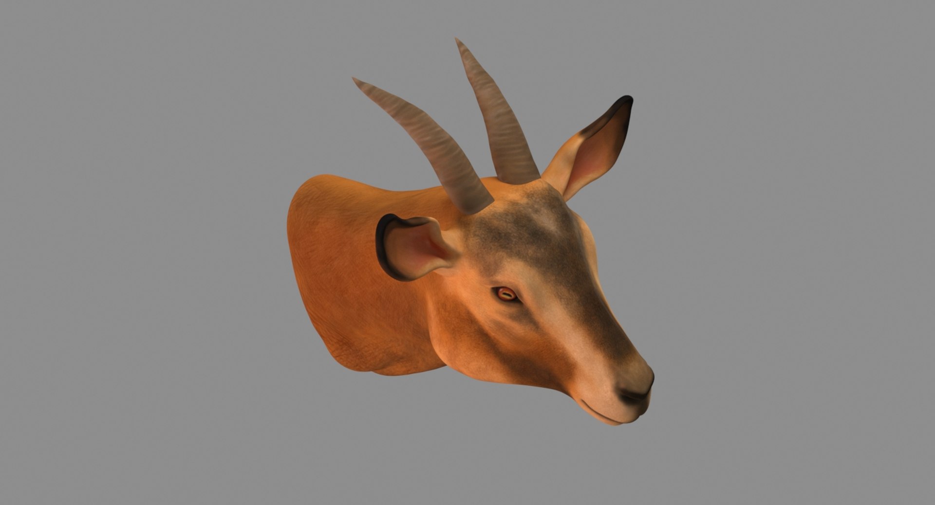 3D Model Goat Head - TurboSquid 1329597