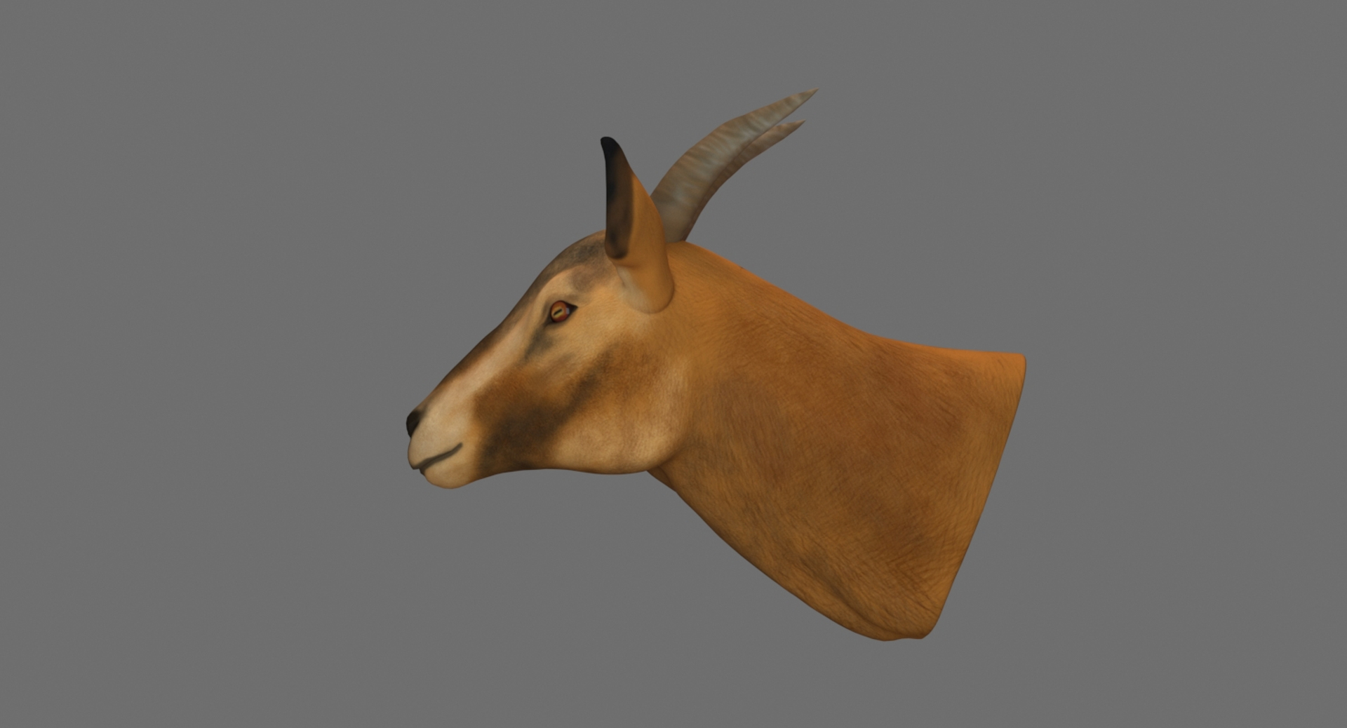 3D Model Goat Head TurboSquid 1329597