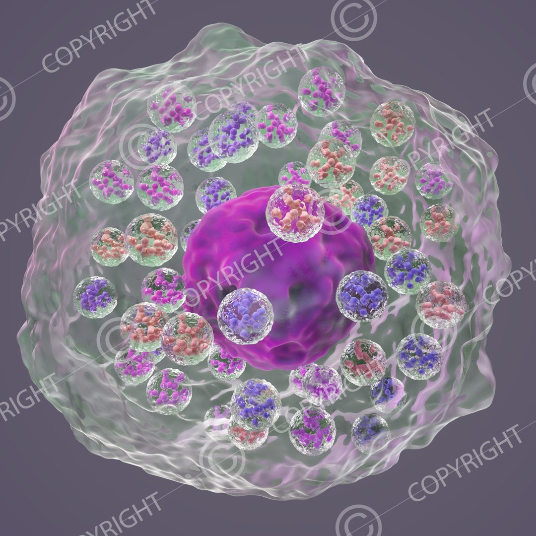 3D science model - TurboSquid 1373044