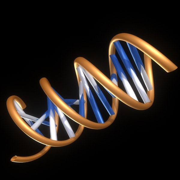 dna helix 3d model