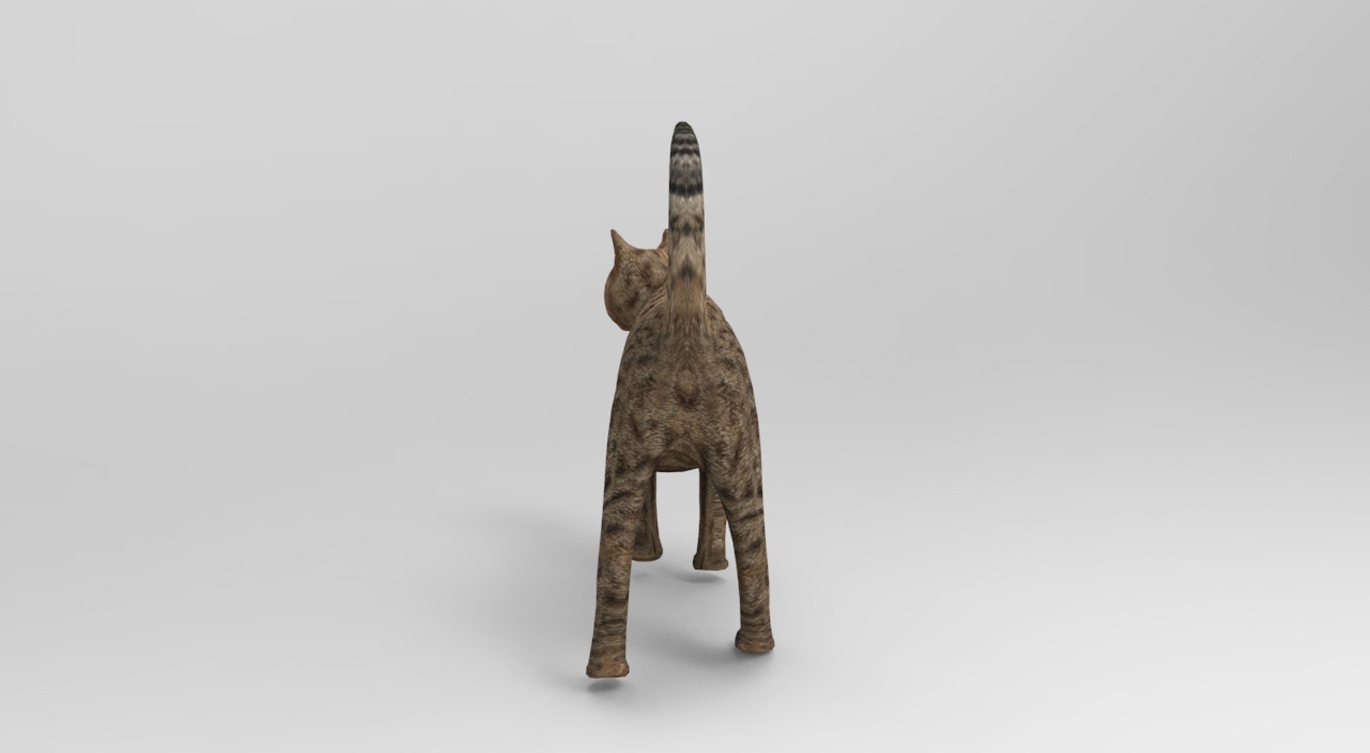 Cat rigged 3D model | 1142686 | TurboSquid