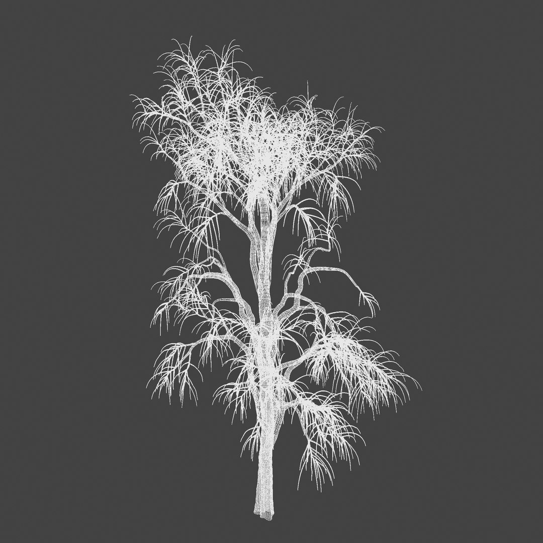 medium plant model https://p.turbosquid.com/ts-thumb/pq/HCyQF0/wkpxNV2I/plant1_renderwireframe/jpg/1578411409/1920x1080/fit_q87/1f48e69acafd3572791f3fc78388bf4cd08647a5/plant1_renderwireframe.jpg
