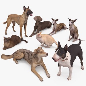 3D animals weimaraner dog whippet