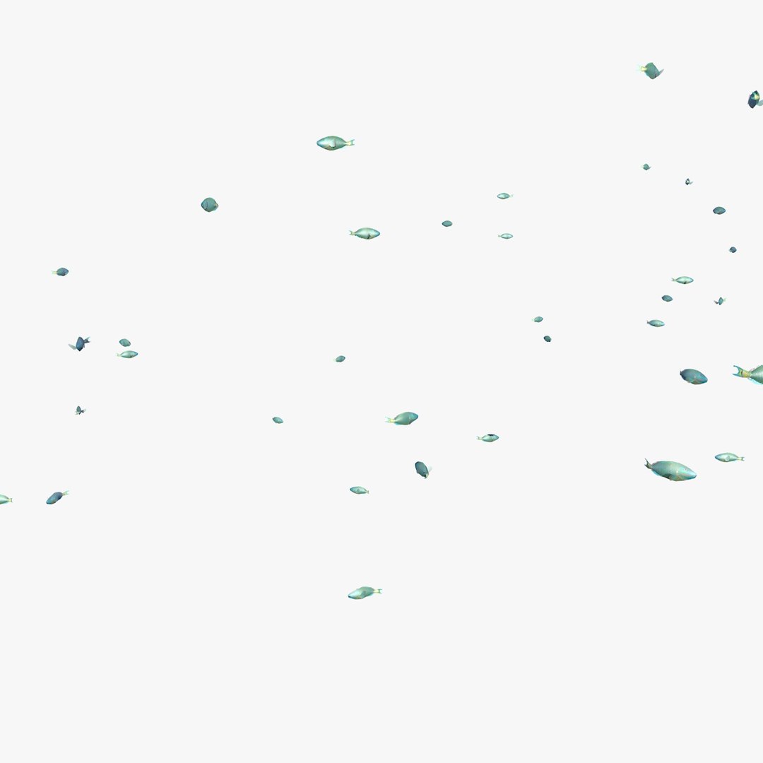 school parrot swimming fishes model https://p.turbosquid.com/ts-thumb/pq/QGdNuf/6mocMJ7d/singleparrotfishswimming1_0012/jpg/1564695940/1920x1080/fit_q87/cc7e54b12b3a0be1299c06b04a2648f6a47f2be4/singleparrotfishswimming1_0012.jpg