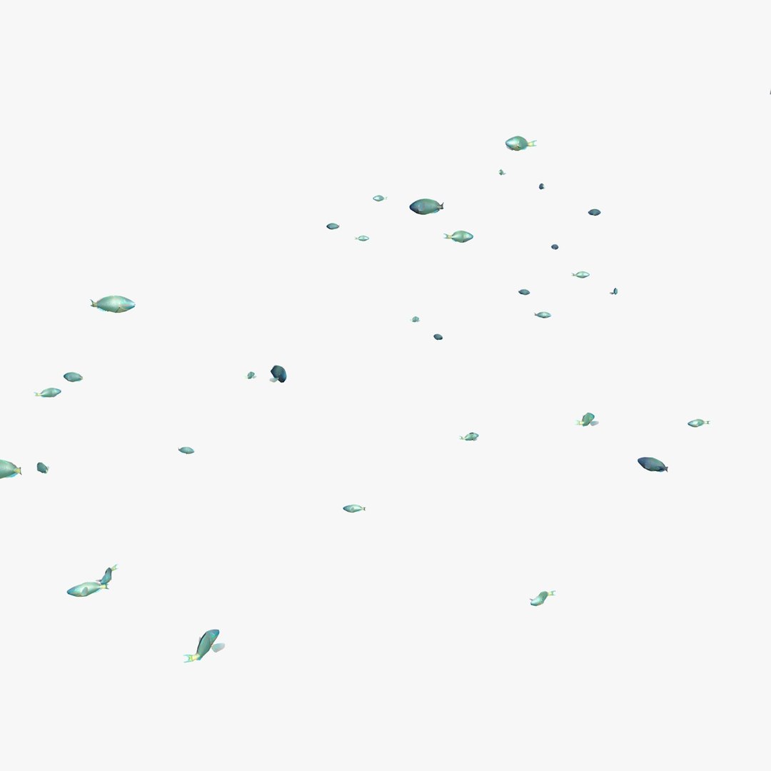school parrot swimming fishes model https://p.turbosquid.com/ts-thumb/pq/QGdNuf/79rAZNUP/singleparrotfishswimming1_0010/jpg/1564695940/1920x1080/fit_q87/73e78d9859f4ab499db9924a6d9b0ff4afdc2705/singleparrotfishswimming1_0010.jpg