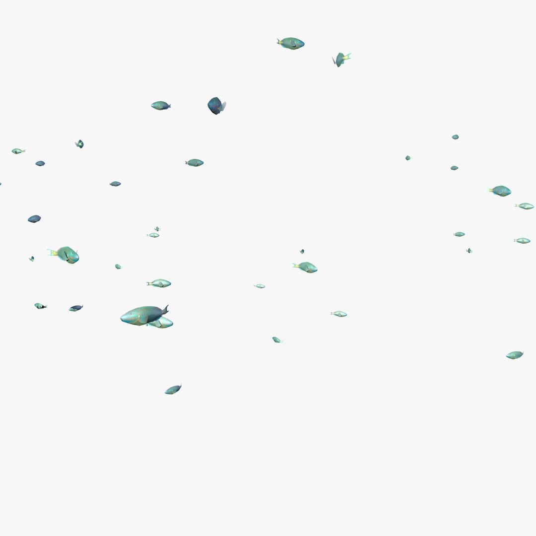 school parrot swimming fishes model https://p.turbosquid.com/ts-thumb/pq/QGdNuf/7fxvYxUo/singleparrotfishswimming1_0002/jpg/1564695940/1920x1080/fit_q87/fb8bd842e7fd04e9e9a195f7598e7c974f0a8560/singleparrotfishswimming1_0002.jpg