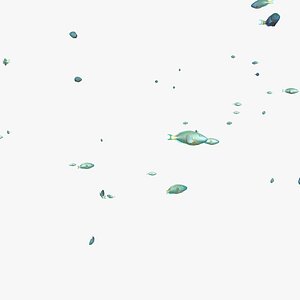 school parrot swimming fishes model