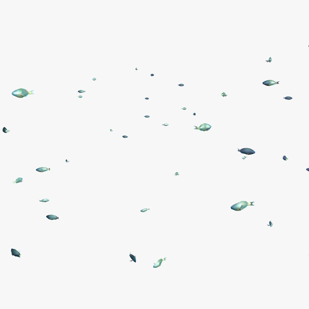 school parrot swimming fishes model https://p.turbosquid.com/ts-thumb/pq/QGdNuf/flzCrcyD/singleparrotfishswimming1_0009/jpg/1564695940/1920x1080/fit_q87/1f1352fd1bf75dd5484da060e7408dc67ea63af9/singleparrotfishswimming1_0009.jpg