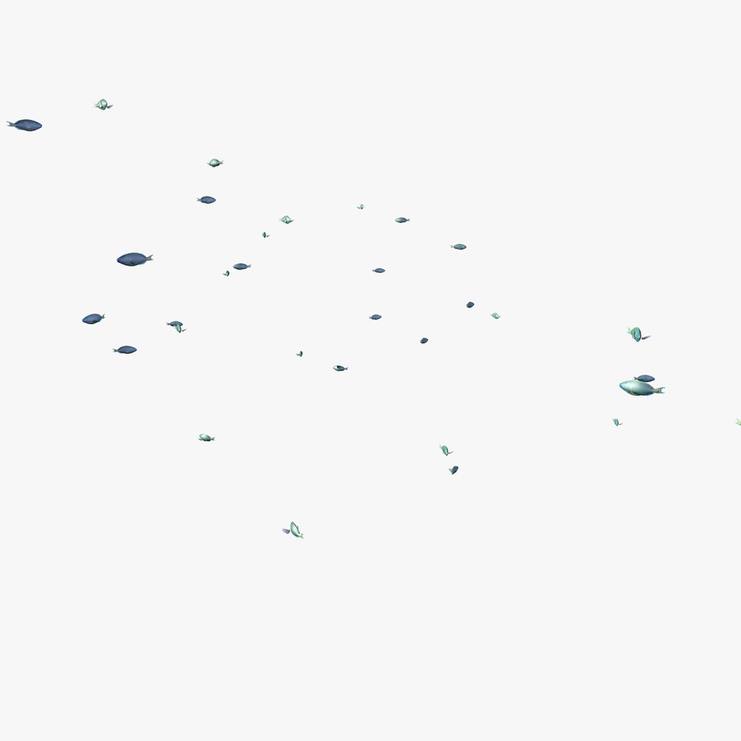 school parrot swimming fishes model https://p.turbosquid.com/ts-thumb/pq/QGdNuf/iOJzaNCU/singleparrotfishswimming1_0004/jpg/1564695940/1920x1080/fit_q87/1b9eb45d9969d1528f660b4ed00305bcdd6608c9/singleparrotfishswimming1_0004.jpg