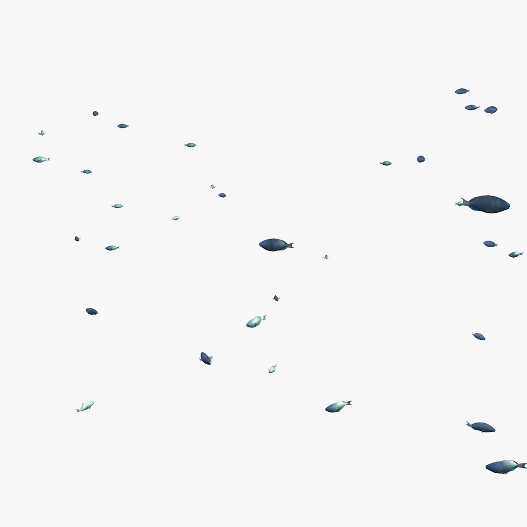 school parrot swimming fishes model https://p.turbosquid.com/ts-thumb/pq/QGdNuf/w3h01kzC/singleparrotfishswimming1_0008/jpg/1564695940/1920x1080/fit_q87/84f11ae4fe948d0066d472f4f17c6c6904a940d5/singleparrotfishswimming1_0008.jpg