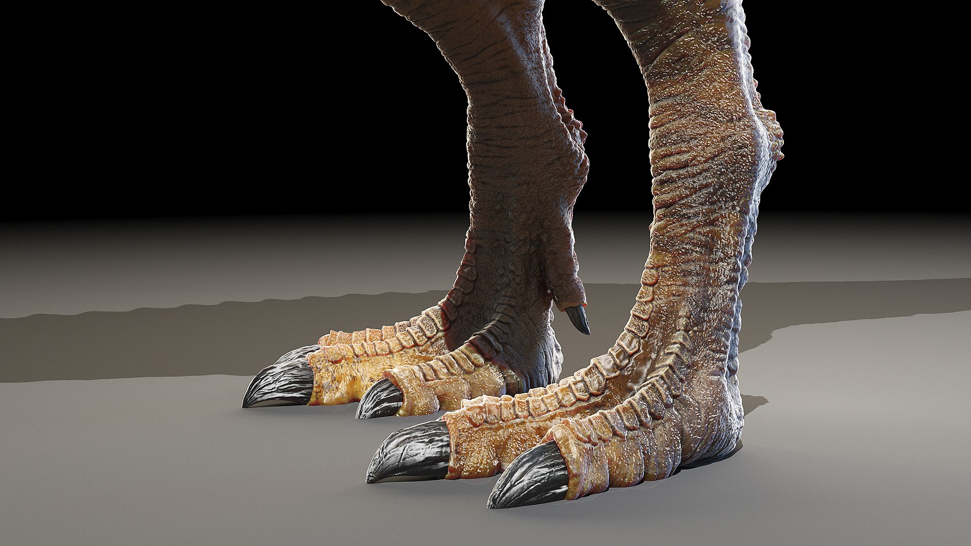 Carcharodontosaurus Carcharodon 3D Model - TurboSquid 1583627