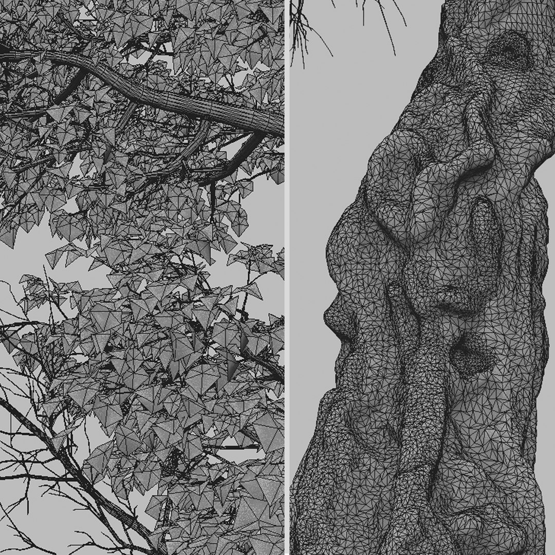 Set of Acer Buergerianum or Trident maple Trees - 2 Trees 3D model https://p.turbosquid.com/ts-thumb/pq/fr7GLN/gm/acerbuergerianum4t/jpg/1669977192/1920x1080/fit_q87/a10bf79c0237272670d7f11fe90dae6b284891d0/acerbuergerianum4t.jpg