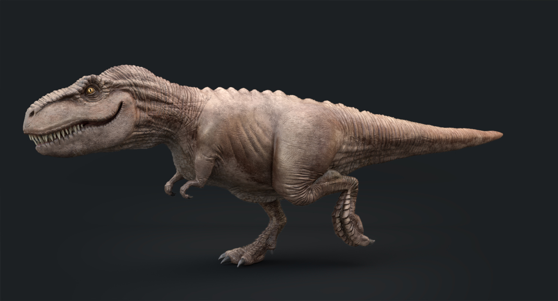 3D tyrannosaurus rex running dinosaur animal model - TurboSquid