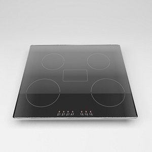 stove electric 2011 max