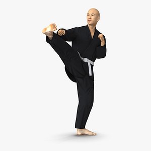 Japanese Karate Fighter Black Suit Pose 2 3D Model