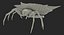 3D rigged creeping insects