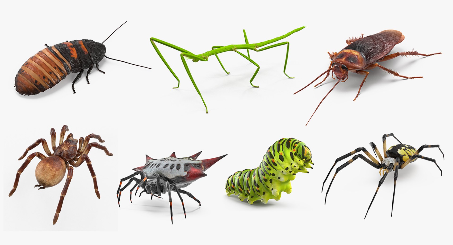 Rigged Creeping Insects Collection for Maya 3D model preview