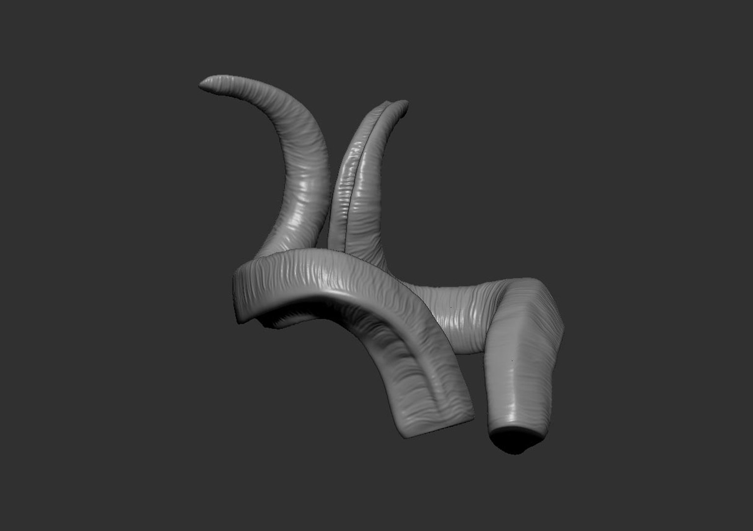 horns screw-horned goat model https://p.turbosquid.com/ts-thumb/pr/PkUU0b/AG9DYa5B/untitled3/jpg/1586168996/1920x1080/fit_q87/e91bc71cf05d4b174a7a4ccb7dc5c6f28836184d/untitled3.jpg