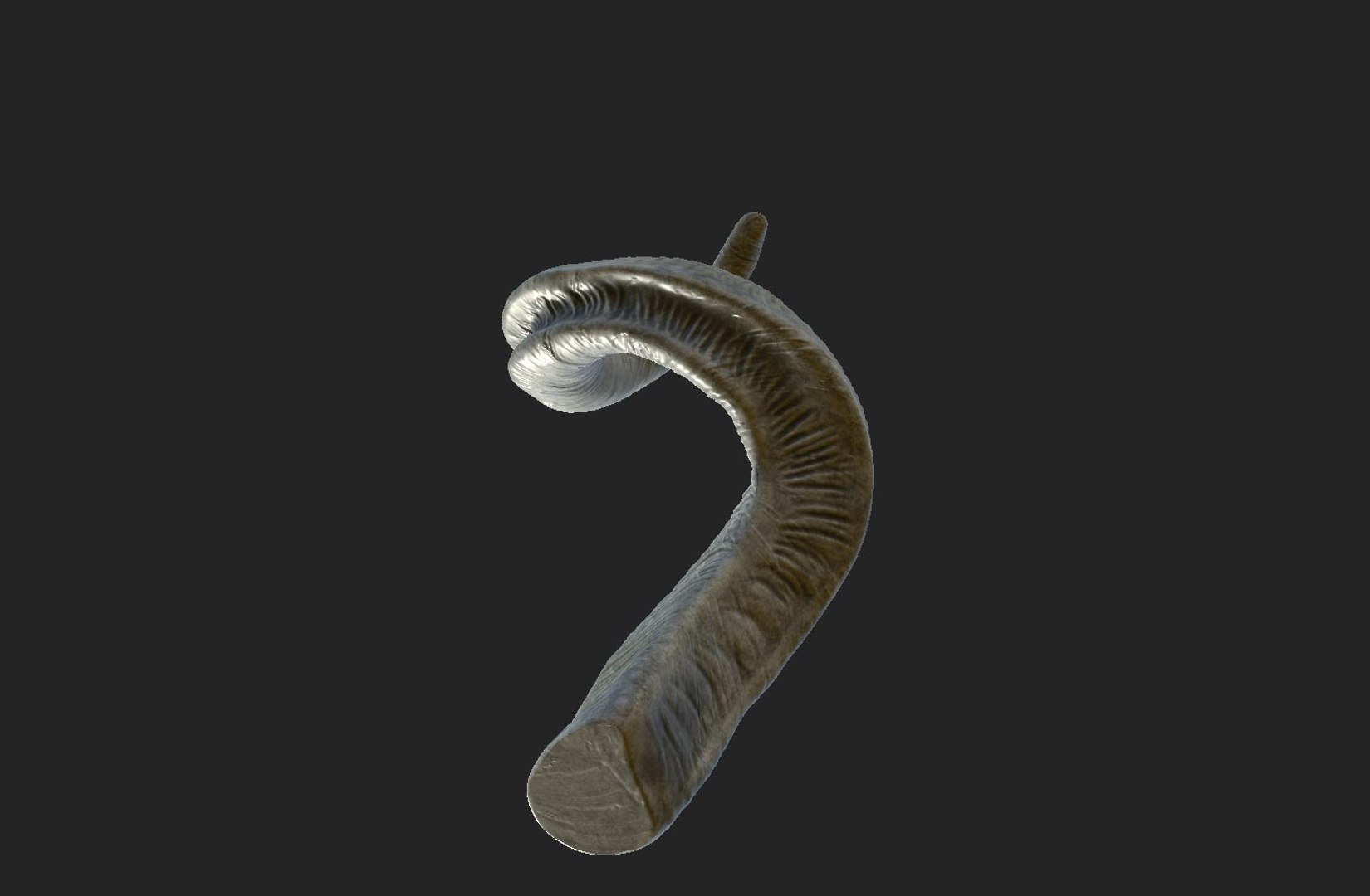 horns screw-horned goat model https://p.turbosquid.com/ts-thumb/pr/PkUU0b/hXNFzFl7/03/jpg/1586168996/1920x1080/fit_q87/d9f36802c331a3ae097855fca464dfba59d1319b/03.jpg