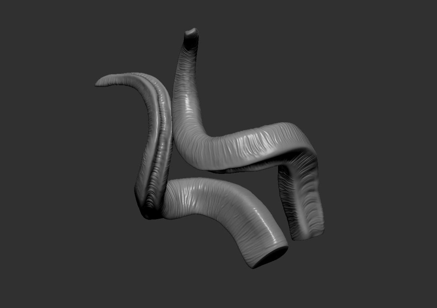 horns screw-horned goat model https://p.turbosquid.com/ts-thumb/pr/PkUU0b/w431JFWR/untitled4/jpg/1586168996/1920x1080/fit_q87/4a9aa8fa7085b261b51e21235fb70f4af7ed42e7/untitled4.jpg