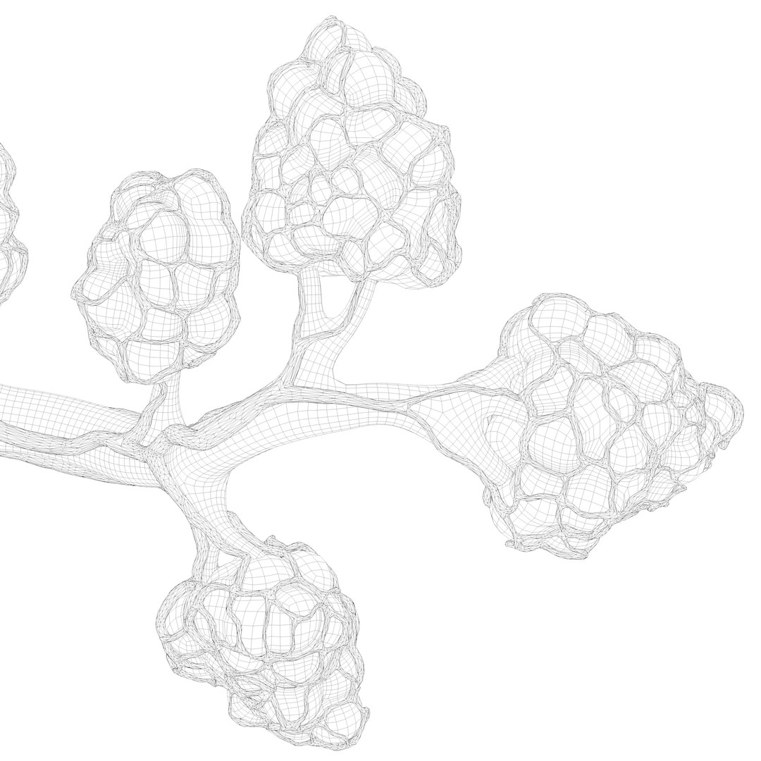 Breast Lactiferous Duct Anatomy model https://p.turbosquid.com/ts-thumb/pr/VfaY7c/IU/wire3/png/1680886509/1920x1080/fit_q87/e2f3ff095c910fed7c8dc26123b59cfd85d53dab/wire3.jpg