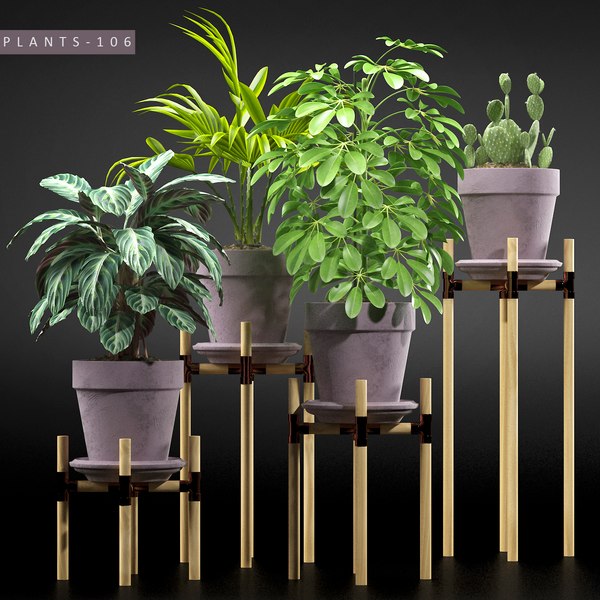 3D plants 106 model - TurboSquid 1166893