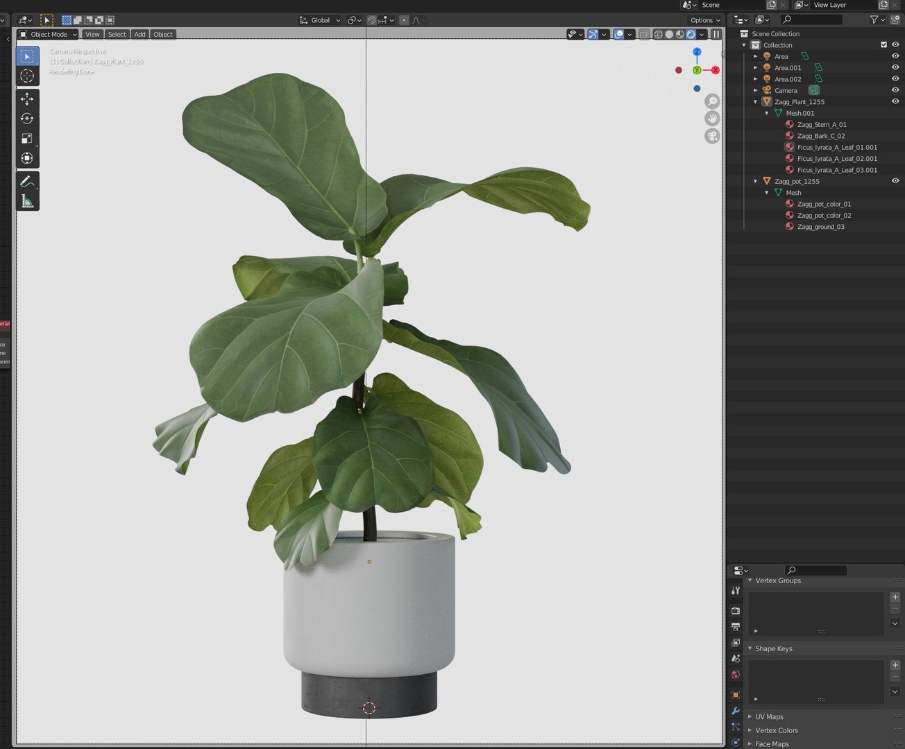 3D Plant 1255 model https://p.turbosquid.com/ts-thumb/pr/kl8MhY/BD/plant_1255_06/jpg/1746684850/1920x1080/fit_q87/484a00db0c68df284abefa63c50b87d192379b39/plant_1255_06.jpg