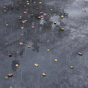 Autumn road with leaves and puddles 3D model