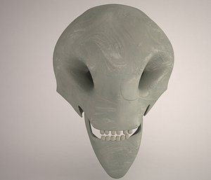 Alien Skull