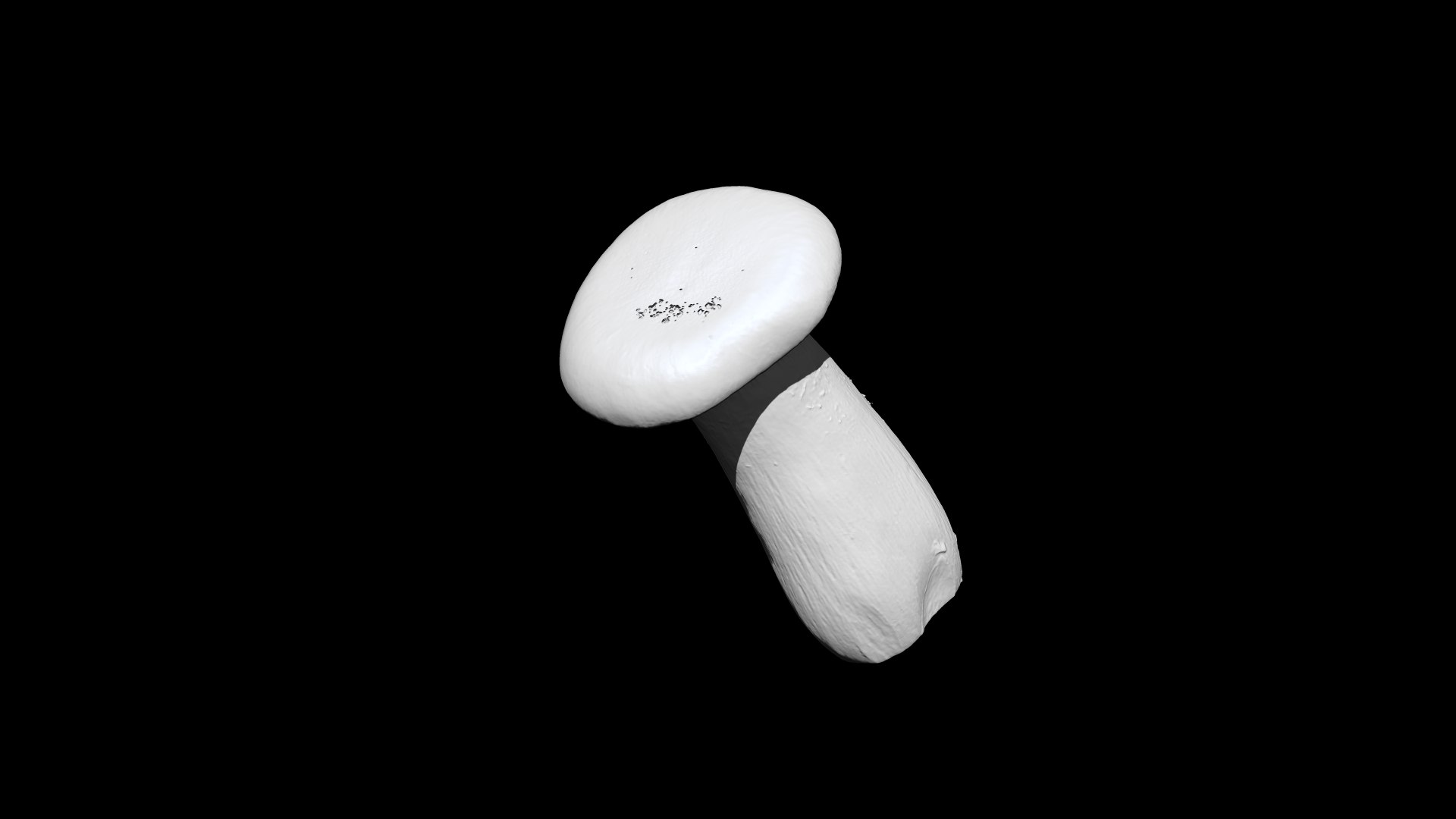 eringi mushroom 2  3D CT scan model decimate 80 percent model https://p.turbosquid.com/ts-thumb/ps/LFeUME/2E/2/png/1656393900/1920x1080/fit_q87/aad111c3f72cad83818cdad26f6be3cb29a62ca6/2.jpg