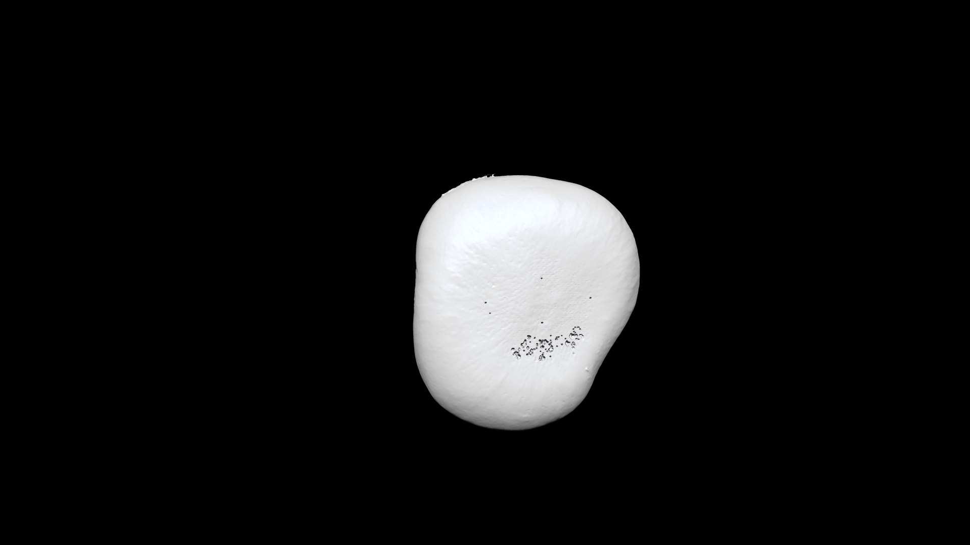 eringi mushroom 2  3D CT scan model decimate 80 percent model https://p.turbosquid.com/ts-thumb/ps/LFeUME/Ig/5/png/1656393904/1920x1080/fit_q87/0a484094196be81ffad9cbece405740e64b4b7ac/5.jpg