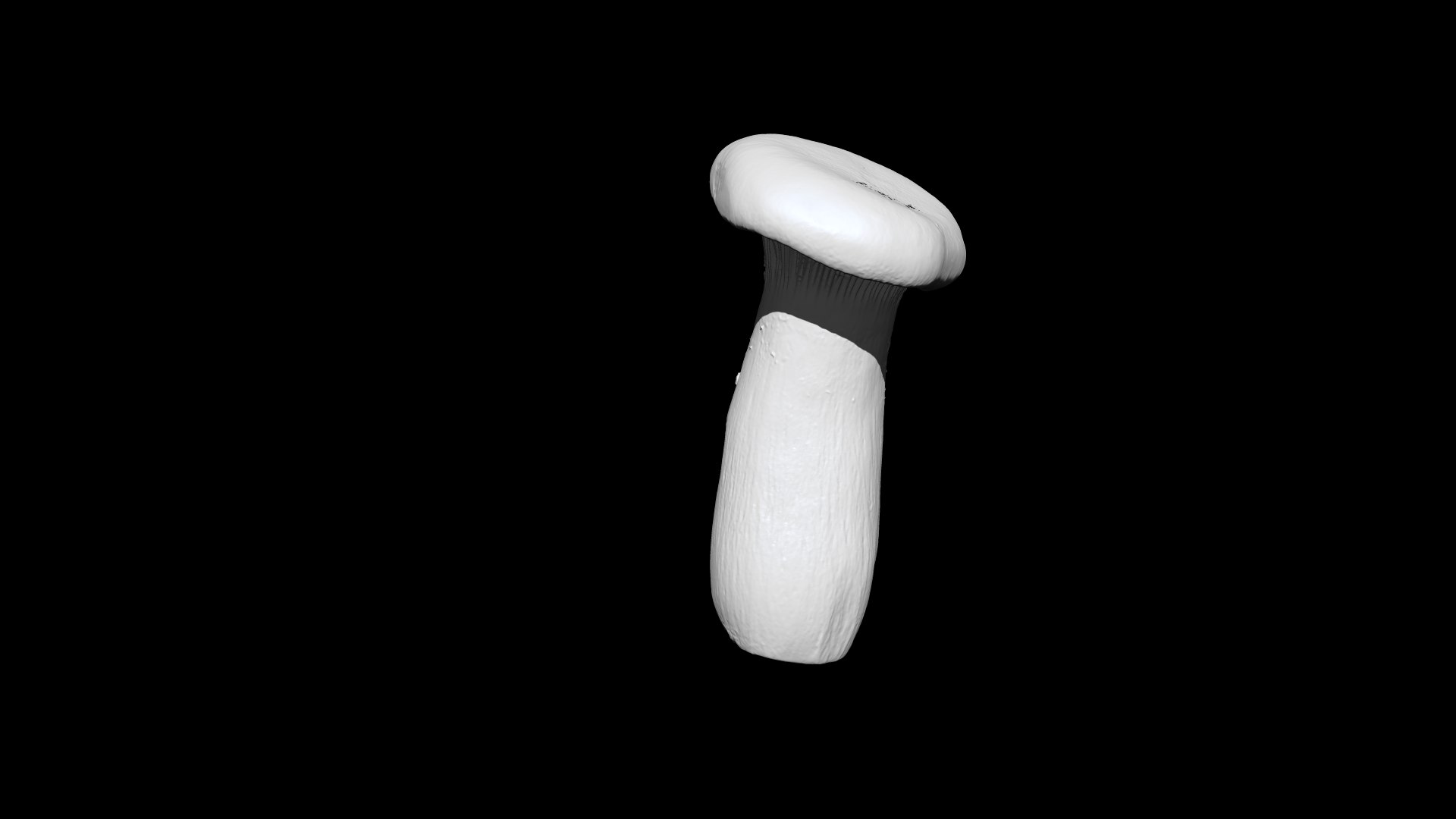 eringi mushroom 2  3D CT scan model decimate 80 percent model https://p.turbosquid.com/ts-thumb/ps/LFeUME/mz/4/png/1656393903/1920x1080/fit_q87/88589882bb2887cfbc8ddd7d88e3d1e46f4f8620/4.jpg