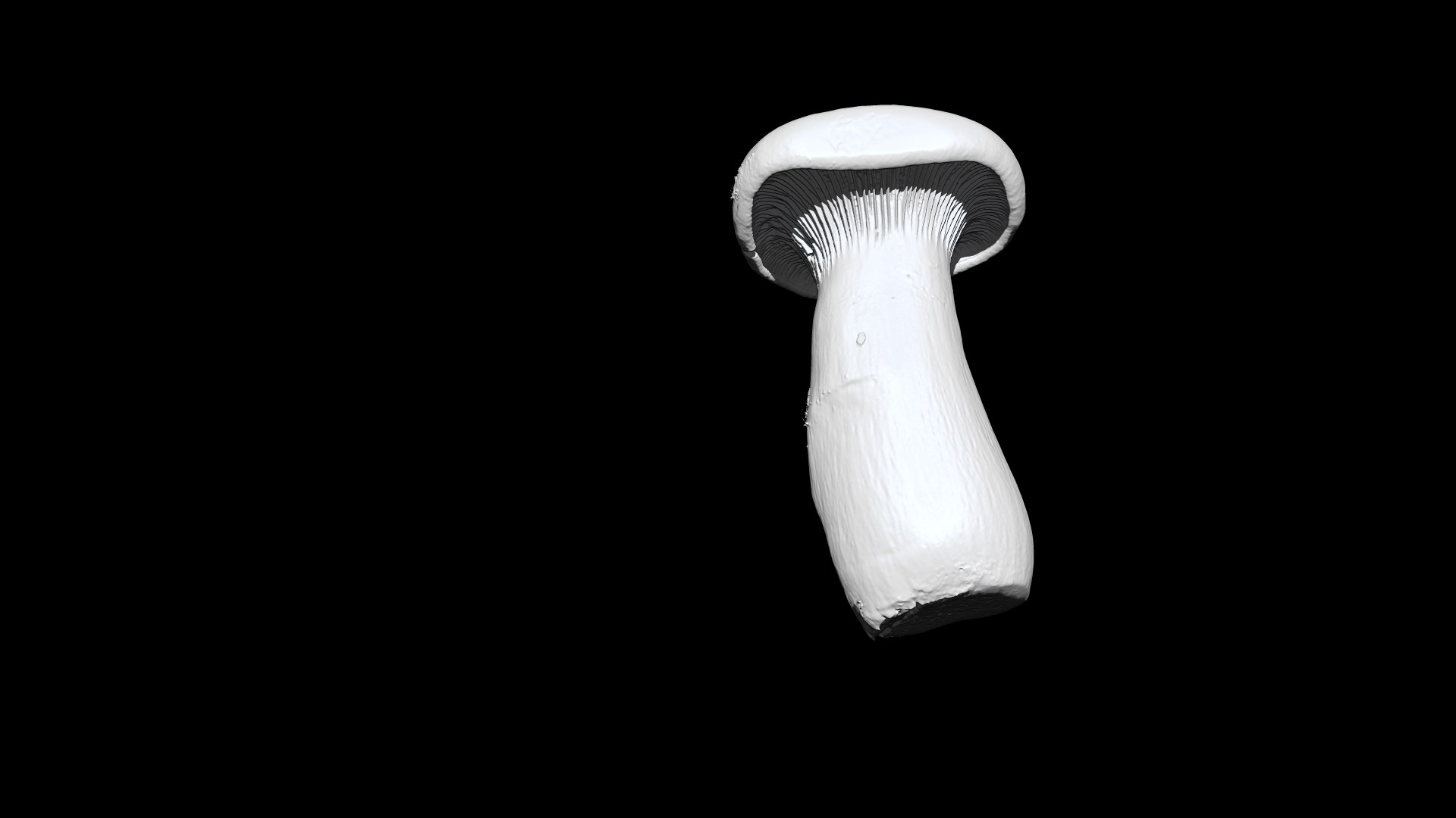 eringi mushroom 2  3D CT scan model decimate 80 percent model https://p.turbosquid.com/ts-thumb/ps/LFeUME/pm/3/png/1656393902/1920x1080/fit_q87/3c946af40a9a17a709cc0d2e062f81e9e3829b07/3.jpg