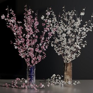 cherry blossom flower vase 3D