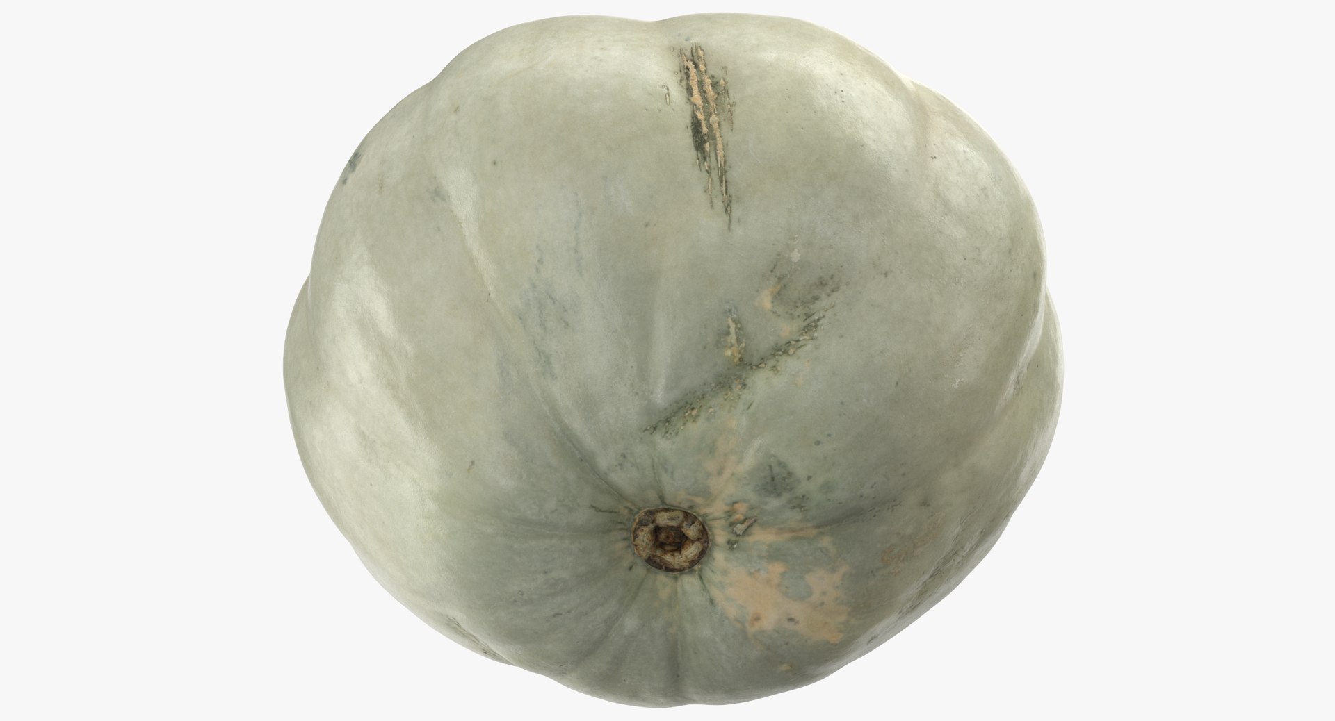 3D model Pumkins Collection 08 - 10 models https://p.turbosquid.com/ts-thumb/ps/Q0RltZ/FY/pumpkin_04_thumbnail_0007/jpg/1635502578/1920x1080/fit_q87/3f154494046420e25b9db307d05b618930ebc814/pumpkin_04_thumbnail_0007.jpg