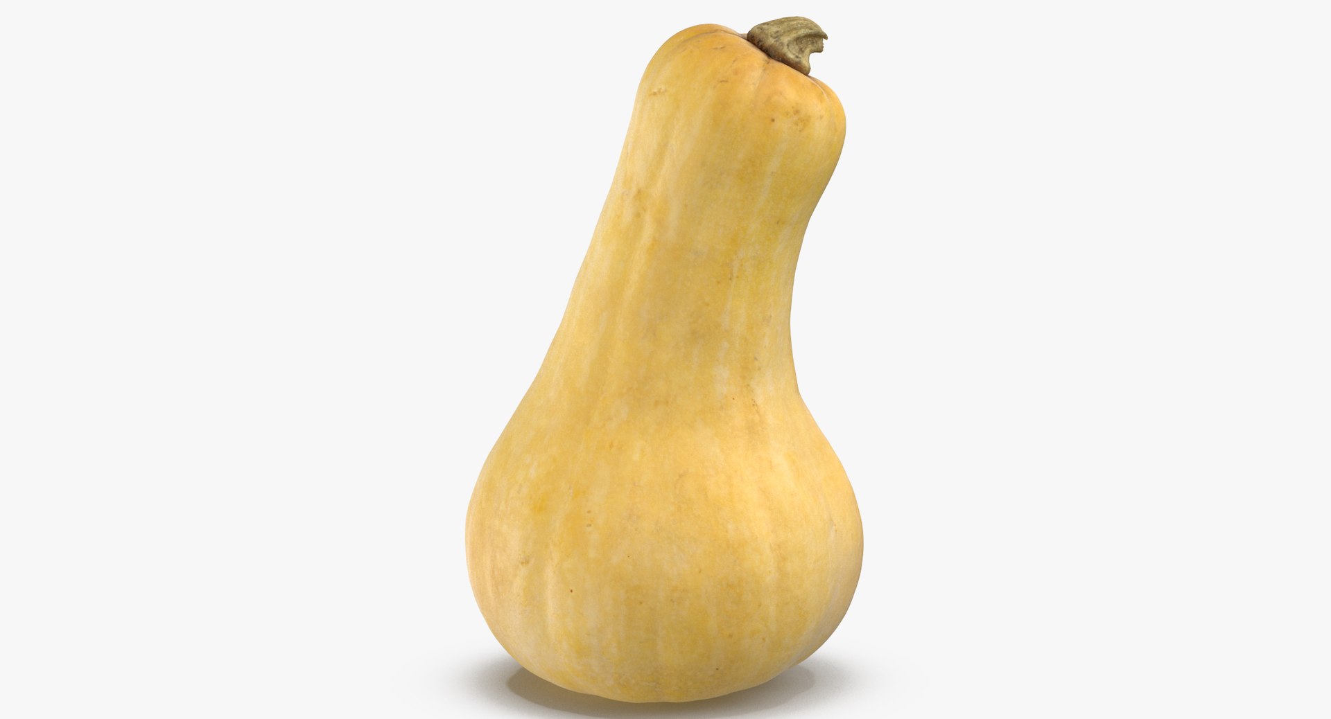 3D model Pumkins Collection 08 - 10 models https://p.turbosquid.com/ts-thumb/ps/Q0RltZ/Gj/pumpkin_butternut_01_thumbnail_0005/jpg/1635502574/1920x1080/fit_q87/a2f9d58c5c97a0d018b06f7c9546e7a794311fab/pumpkin_butternut_01_thumbnail_0005.jpg