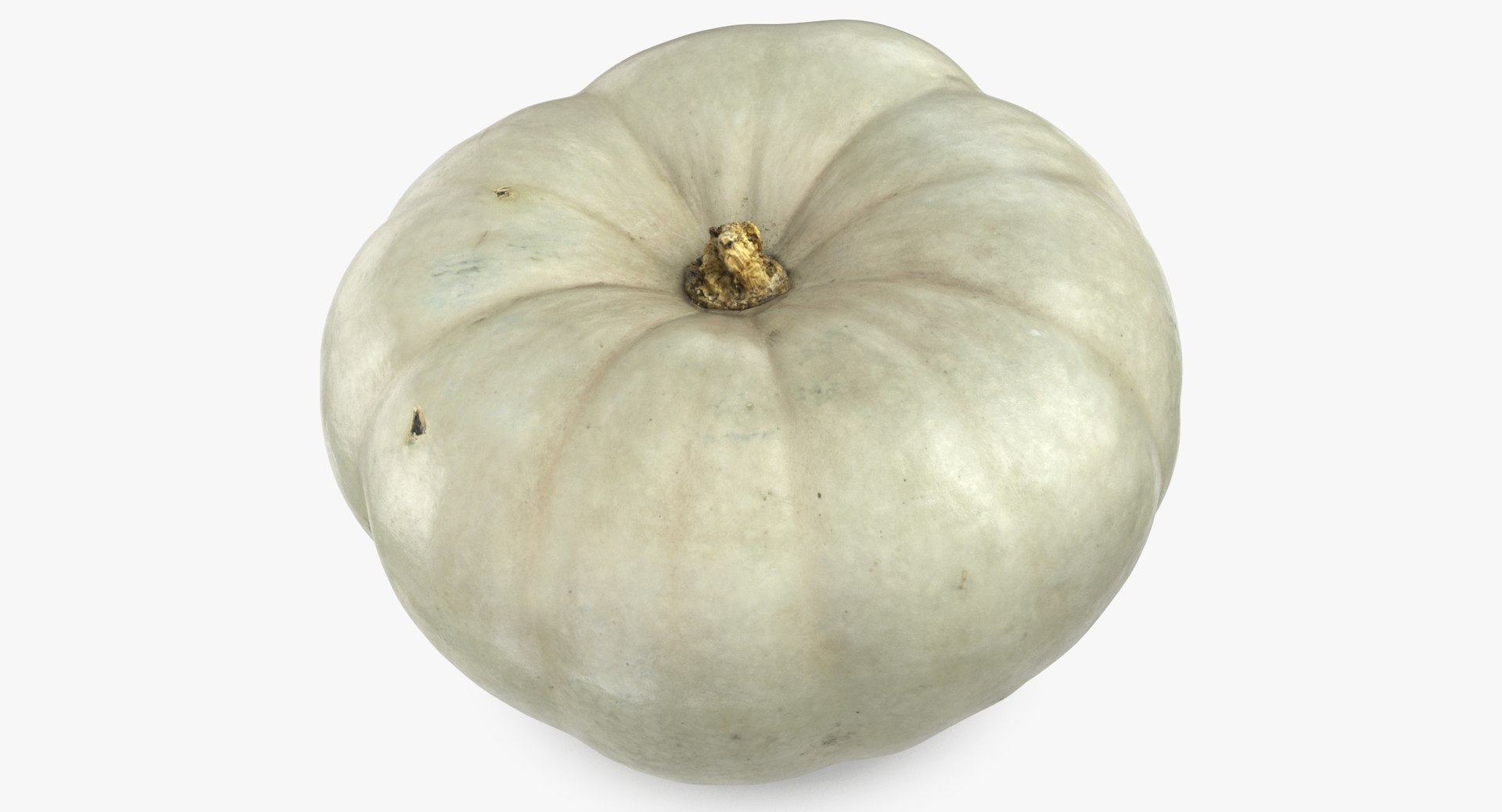 3D model Pumkins Collection 08 - 10 models https://p.turbosquid.com/ts-thumb/ps/Q0RltZ/M0/pumpkin_04_thumbnail_0004/jpg/1635502577/1920x1080/fit_q87/1fd0772bc38a3f0ced8252d9636bd7014dec278c/pumpkin_04_thumbnail_0004.jpg