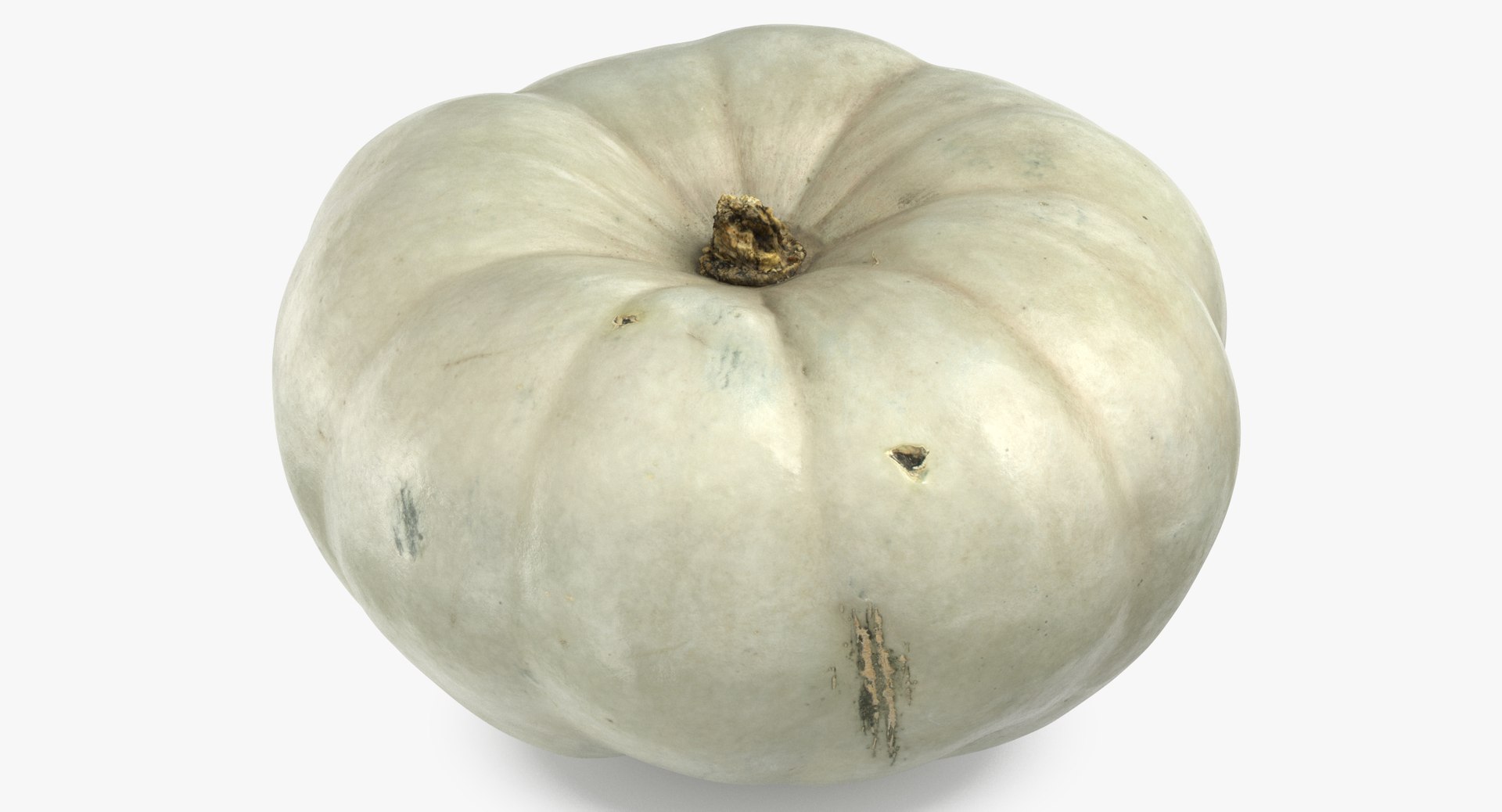 3D model Pumkins Collection 08 - 10 models https://p.turbosquid.com/ts-thumb/ps/Q0RltZ/NL/pumpkin_04_thumbnail_0005/jpg/1635502578/1920x1080/fit_q87/09dbf1cd92cb35981124de208e162292083109da/pumpkin_04_thumbnail_0005.jpg