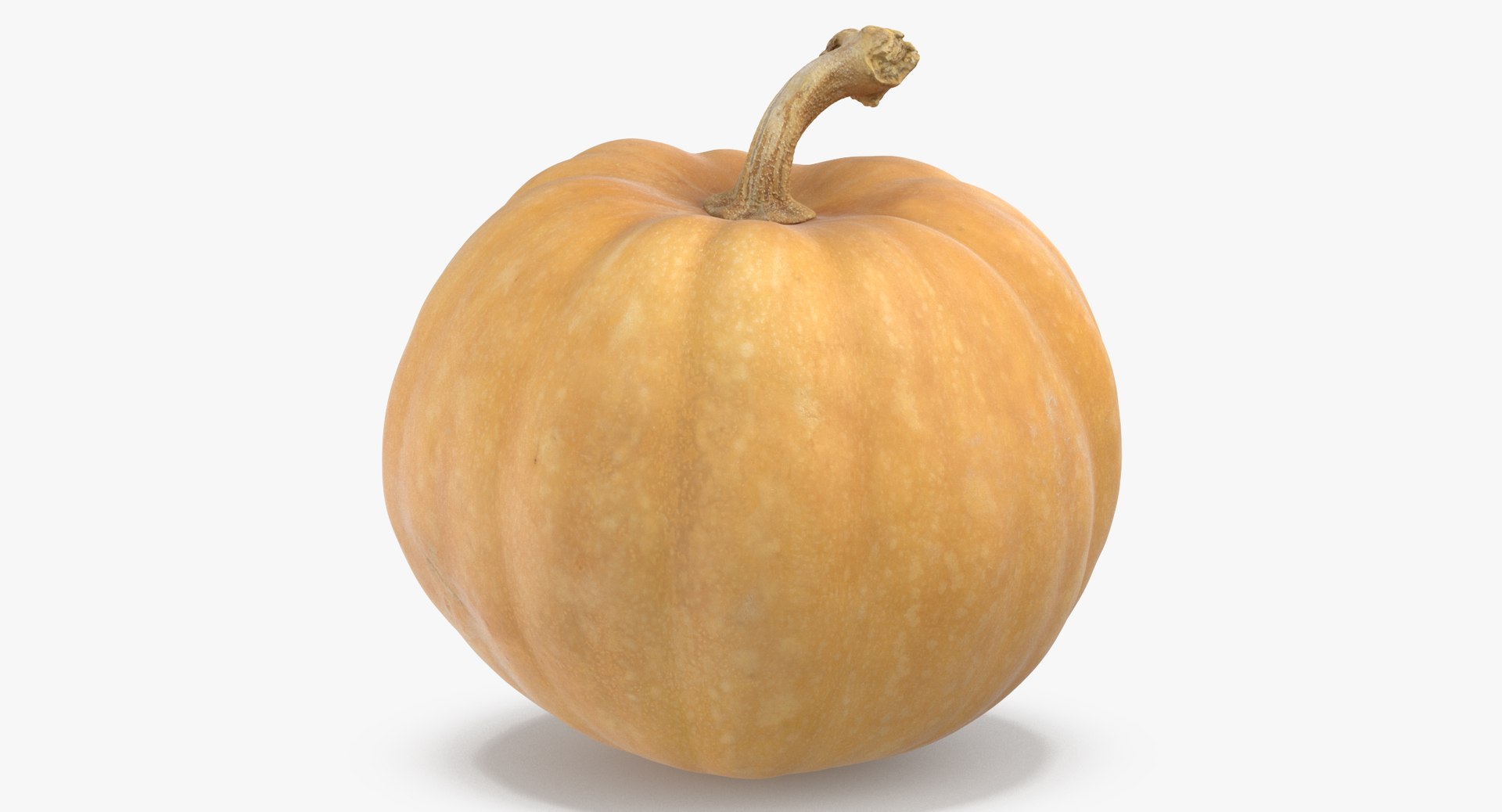 3D model Pumkins Collection 08 - 10 models https://p.turbosquid.com/ts-thumb/ps/Q0RltZ/NS/pumpkin_02_thumbnail_0001/jpg/1635502575/1920x1080/fit_q87/67491e1bc455bd67738dea2e86a10915fe42f6ad/pumpkin_02_thumbnail_0001.jpg