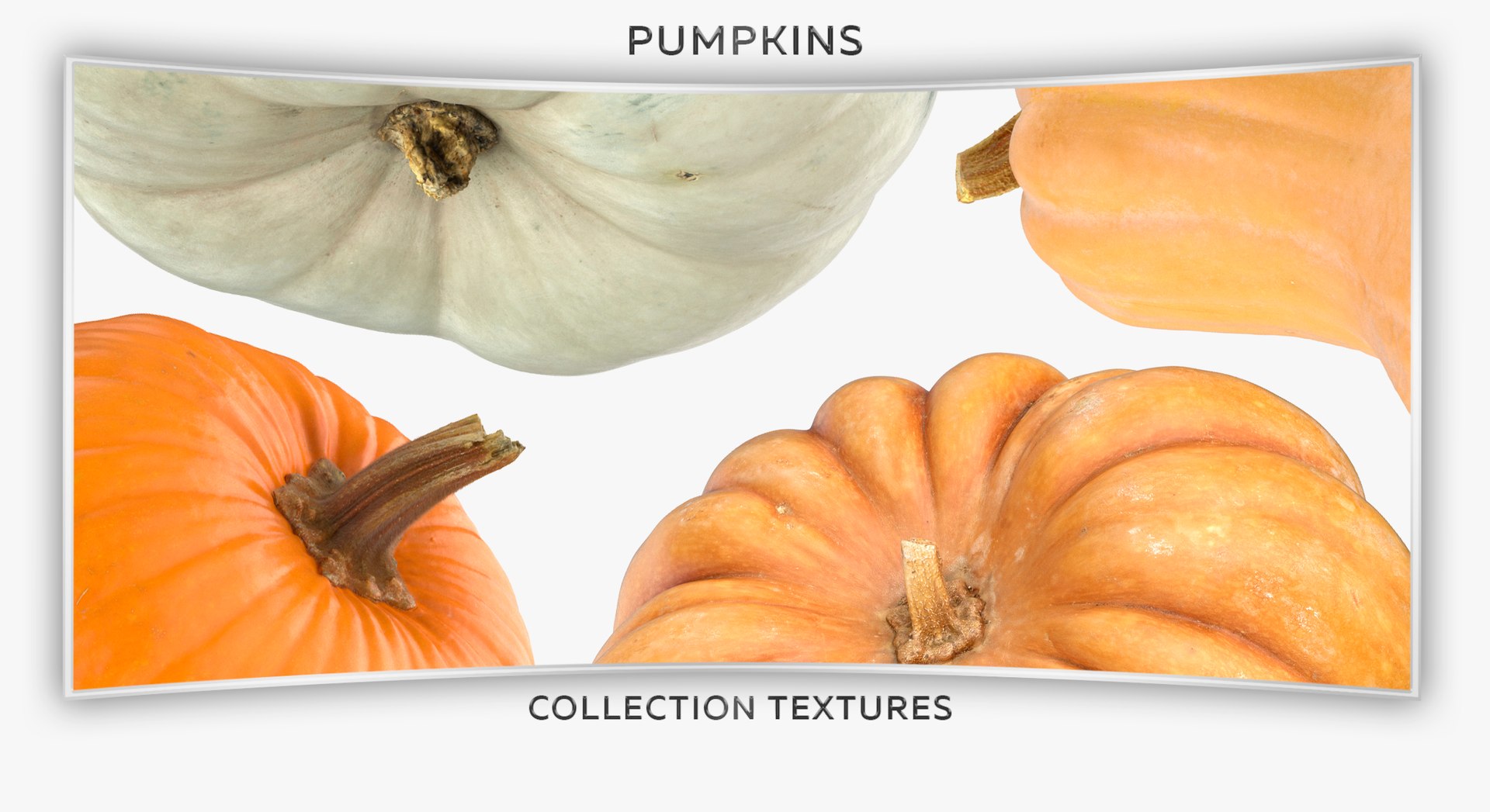 3D model Pumkins Collection 08 - 10 models https://p.turbosquid.com/ts-thumb/ps/Q0RltZ/OM/37t/jpg/1635502594/1920x1080/fit_q87/f8ab45d23650c64f6fb19dbf170861318ad8b920/37t.jpg